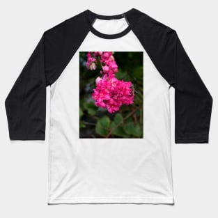 Bee on Key West Flower Baseball T-Shirt